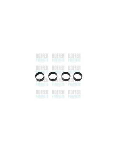 Injector seal ring (4 pcs kit)