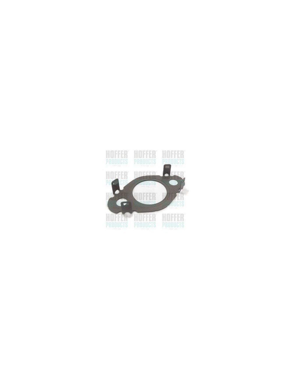 Gasket (KIT 10 pcs)