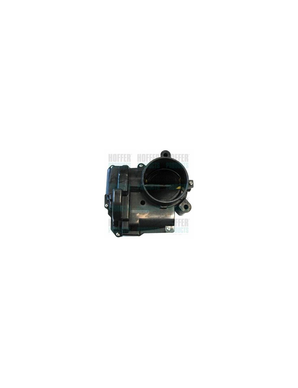 Boà®tier papillon, injection Boà®tier papillon, injection
