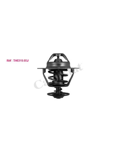 THERMOSTAT