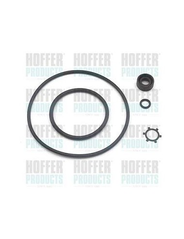Hydraulic pump repair kit