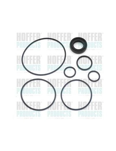 Hydraulic pump repair kit