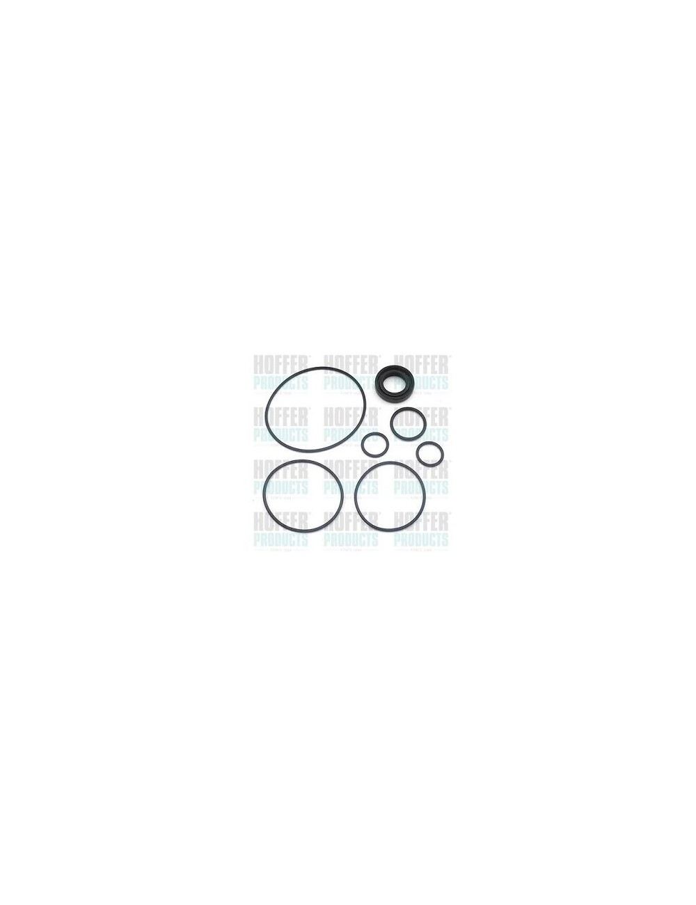Hydraulic pump repair kit Hydraulic pump repair kit