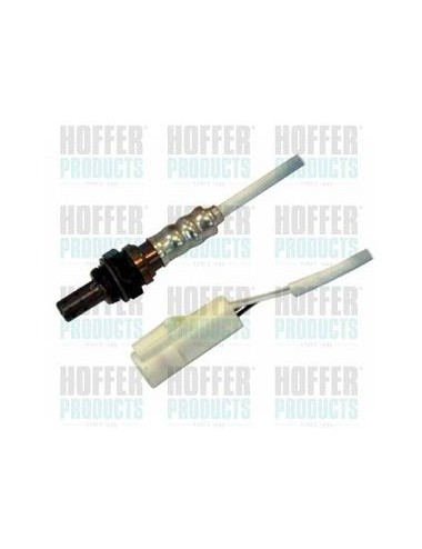 Sonde lambda au Zirconium