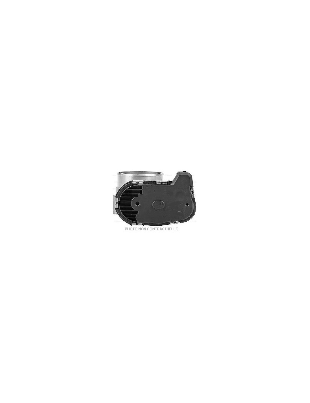 Boà®tier de papillon Boà®tier de papillon