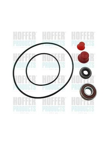 Hydraulic pump repair kit