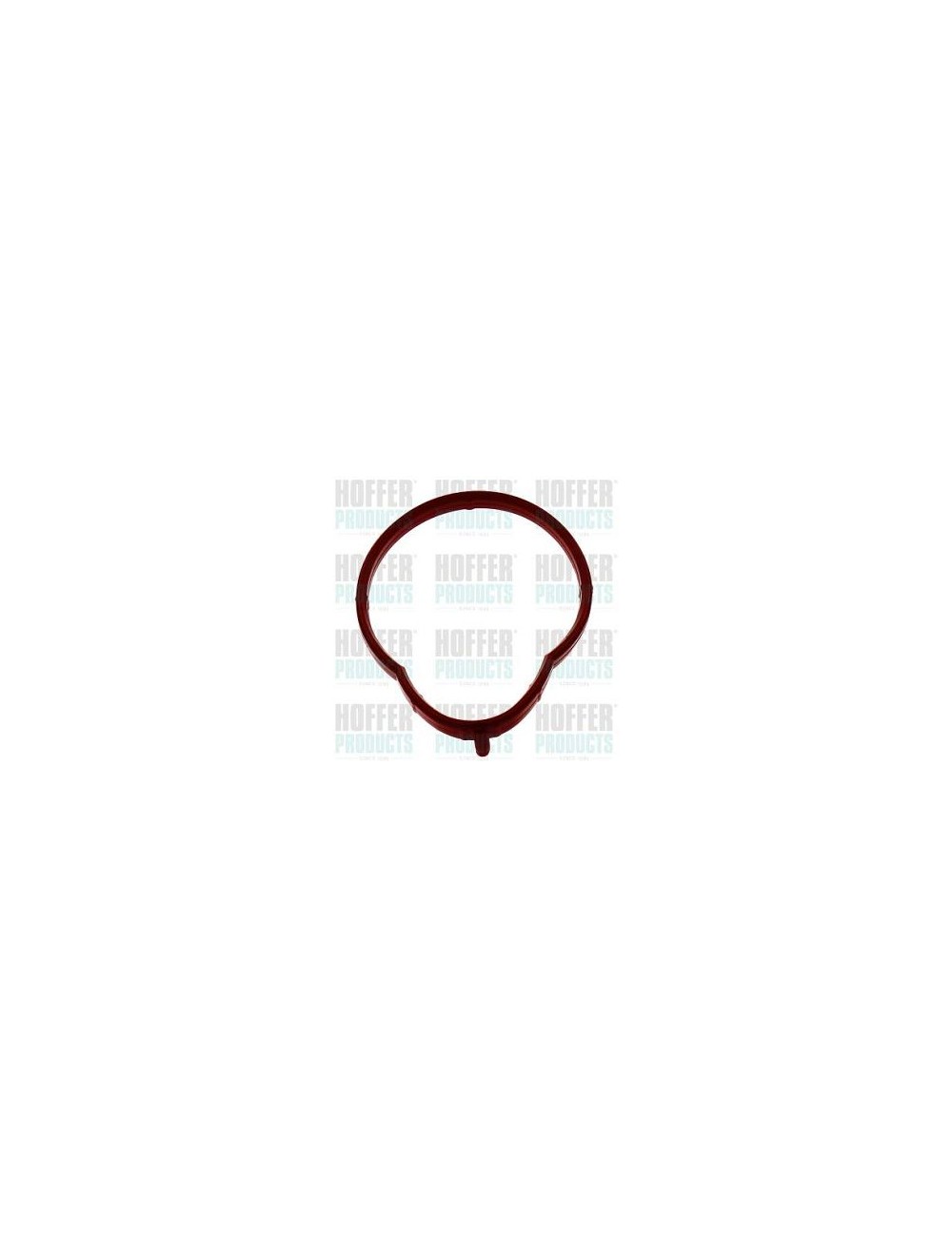 Joint pour Module collecteur d admission Joint pour Module collecteur d admission