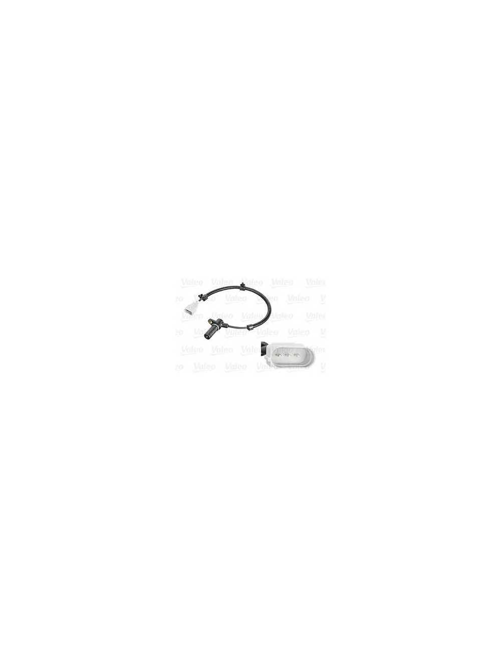 Capt. Vilebrequin VAG FORD SEAT SKODA VW Capt. Vilebrequin VAG FORD SEAT SKODA VW