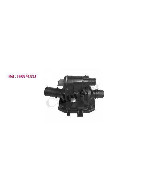 THERMOSTAT