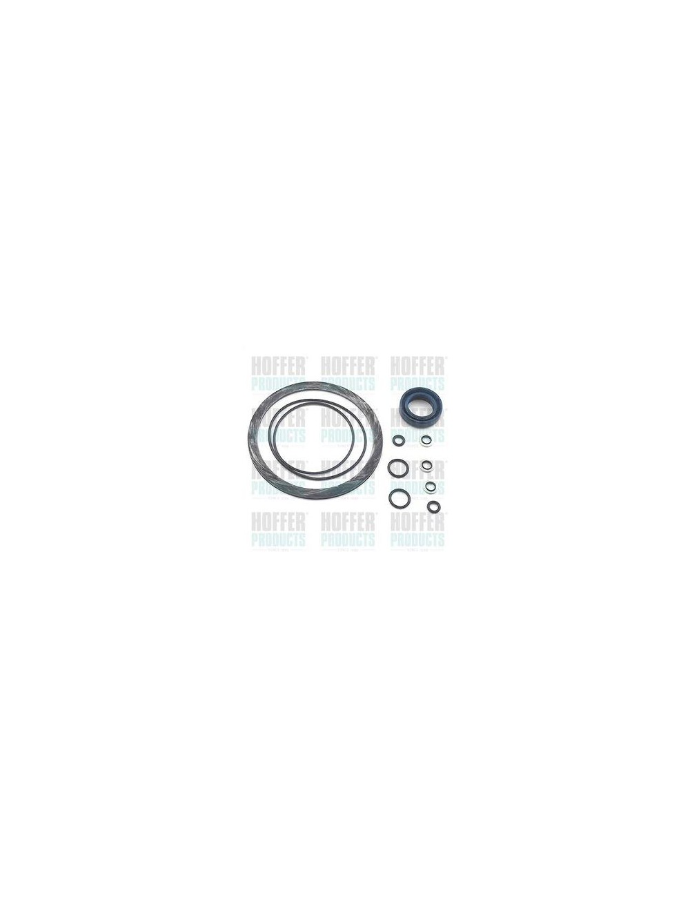 Hydraulic pump repair kit Hydraulic pump repair kit