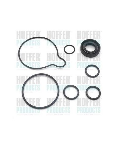 Hydraulic pump repair kit