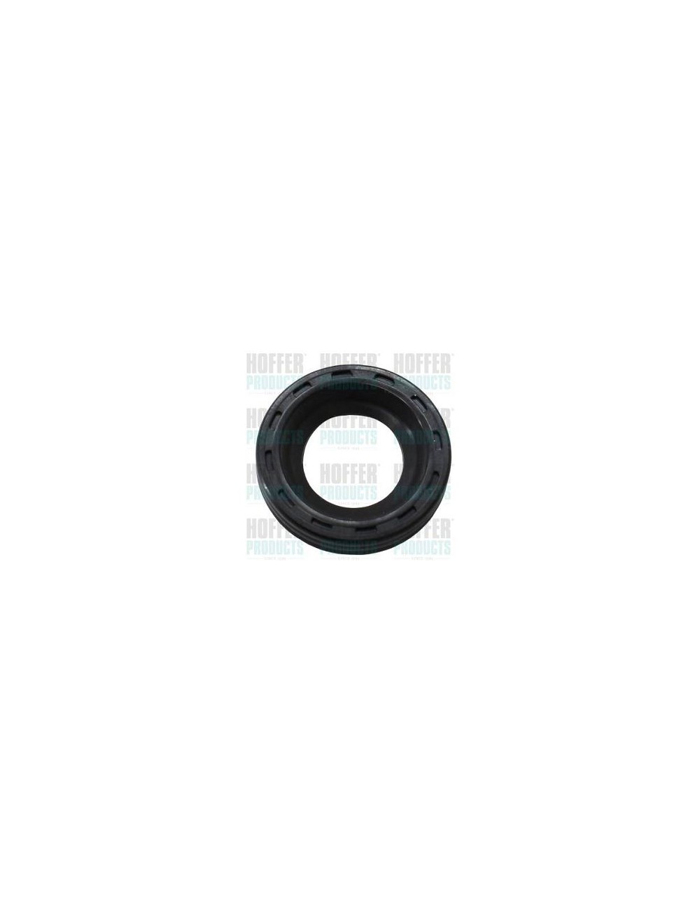 Seal Ring, Injector (kit 10 pcs)