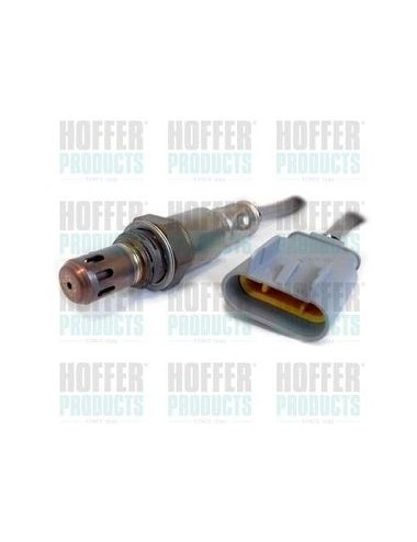 Sonde lambda au Zirconium