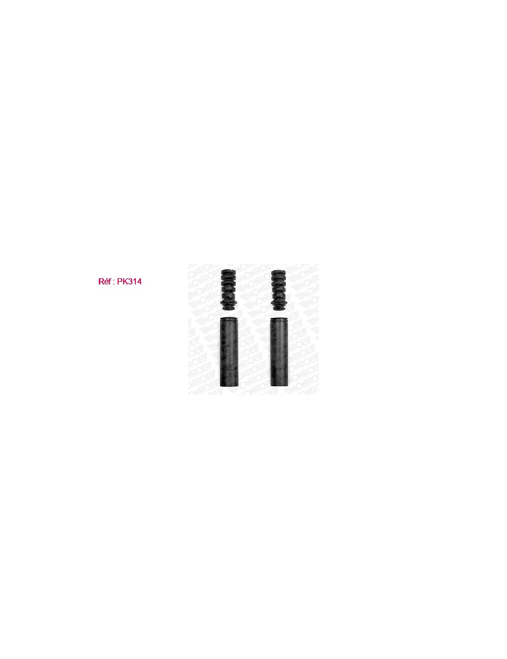 KIT DE PROTECTION AR RENAULT CLIO 2