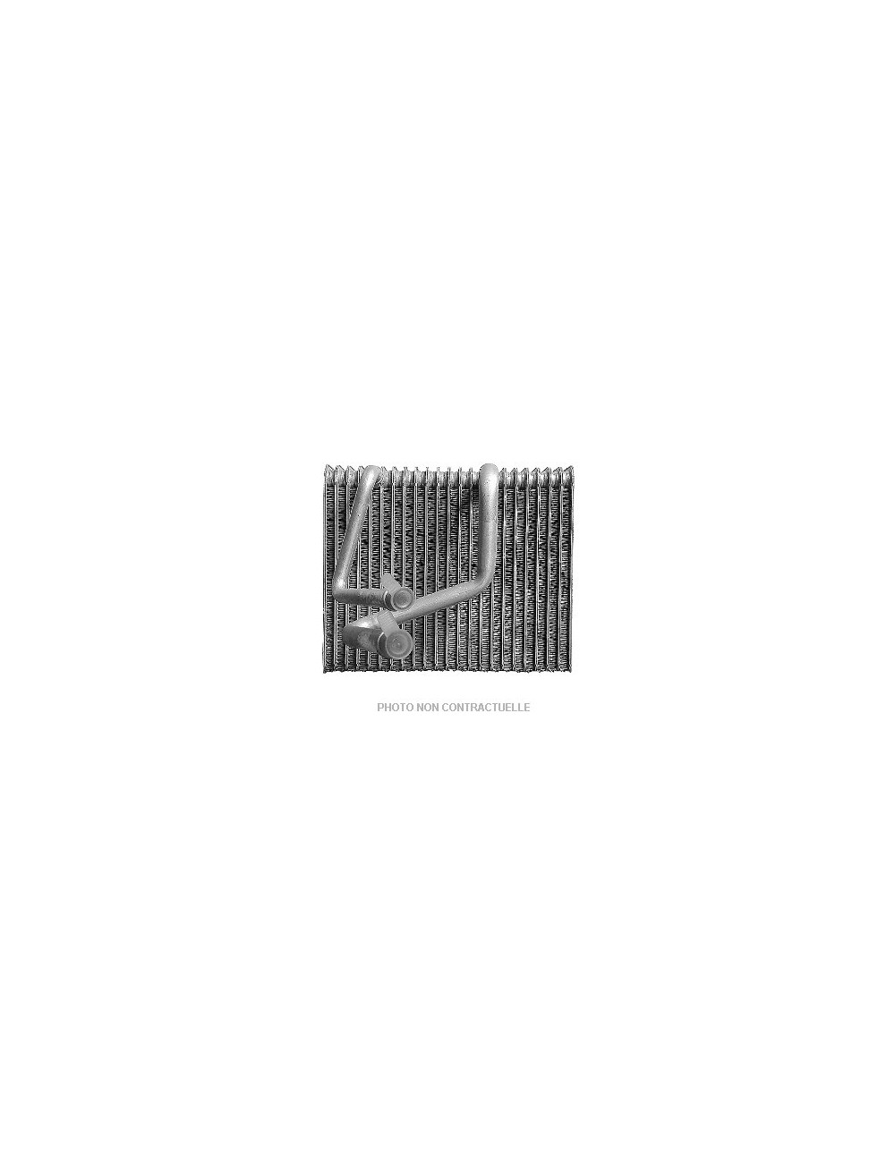 EVAPORATEUR MINI
