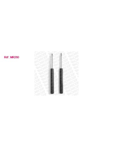 AMORT AV PSA SAXO / 106 / AX