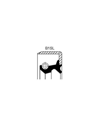Joint d arbre radial - B1 avec ress