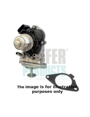 EGR Valve