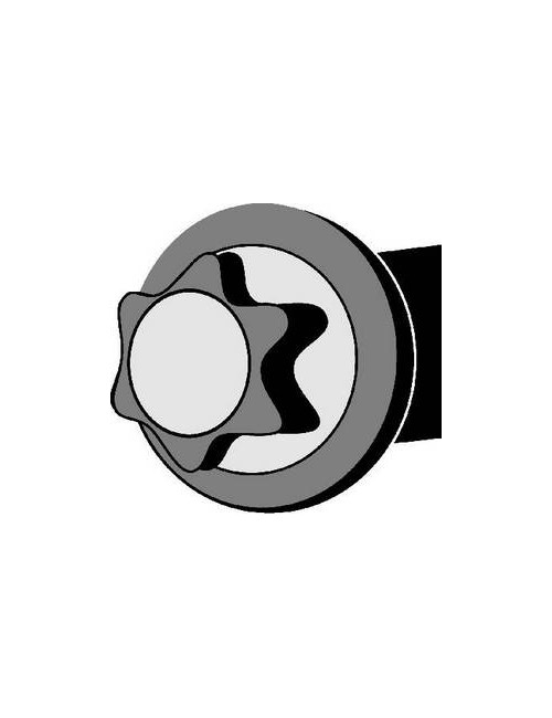 KIT Vis de culasse PSA 2.5...