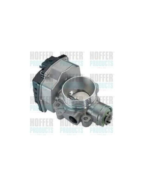 Boîtier papillon, injection