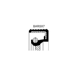 DESCR   BARSX7