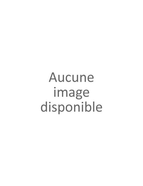 LIQUIDE DE FREIN 500ML DOT4
