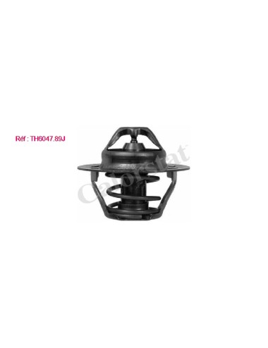 THERMOSTAT